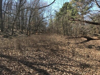 18023 Stout Mountain Rd, Fayetteville, AR 72701 - photo 6