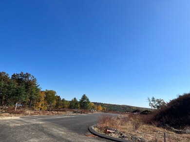 Lot 79 Balsam Hill Rd, Ludlow, MA 01056 - photo 4