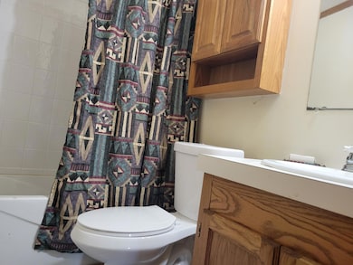 4507 W 45th Ave, Gary, IN 46408 - photo 3