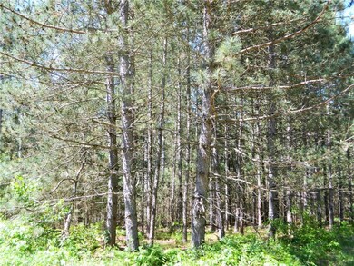 0 Old 35 unit 1508959, Siren, WI 54872 - photo 3