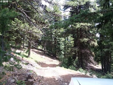 0 08s36 Tl 1900 unit 18542076, Sumpter, OR 97877 - photo 4