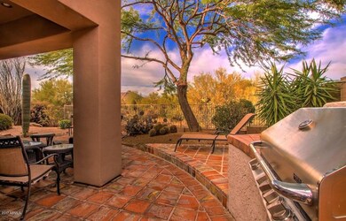 backyard 6