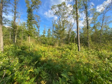 0 N Woodbridge Dr unit 22048039, Bitely, MI 49309 - photo 6