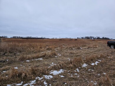 Parcel 6 Willow Rd NE, Carlos, MN 56319 - photo 5