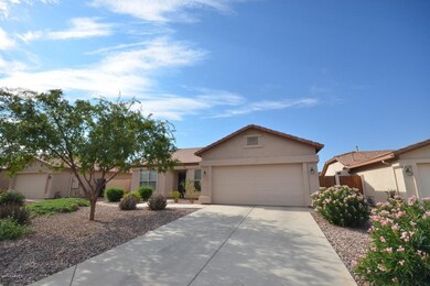 3143 Peach Tree