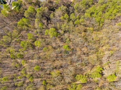 Some old logging roads cut through the property 