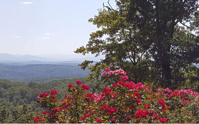 Additional View