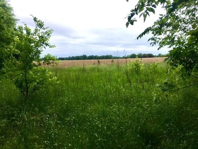 TBD County Road 1535, Bonham, TX 75418 - photo 7