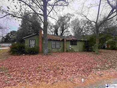 153 E Pine St, Johnsonville, SC 29555 - photo 2