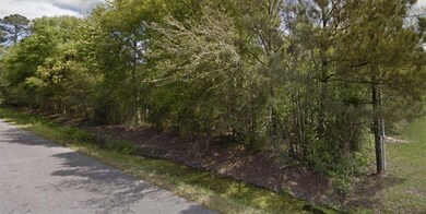 0 E Pinewood Dr, Lake Charles, LA 70607 - photo 5