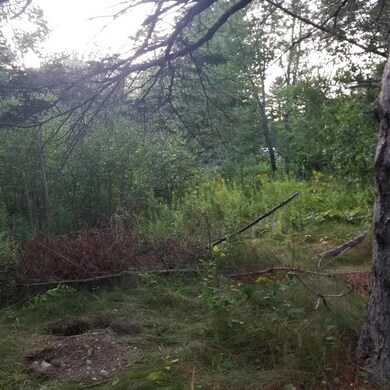 524 Millvale Rd, Bucksport, ME 04416 - photo 3