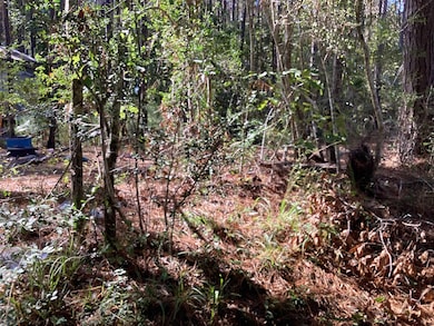 0 County Road 3038, Newton, TX 75966 - photo 2