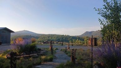 701 Henry's Lake Dr, Pagosa Springs, CO 81147 - photo 3