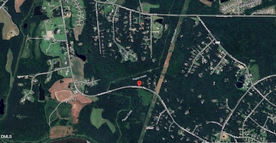 Satellite View