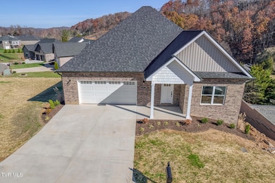 111 Quiet Stroll Ln, Gray, TN 37615 - photo 2