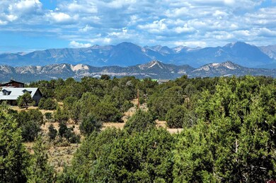 Lot 23 Farraday Rd, Durango, CO 81303 - photo 2