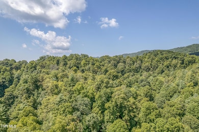 0 Waters Rd, Laurel Blmry, TN 37680 - photo 7
