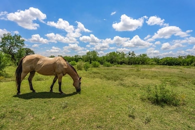 2777 County Road 251, Hondo, TX 78861 - photo 2