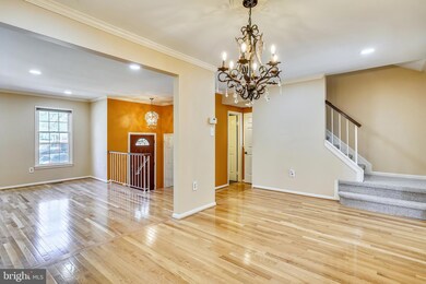 7755 Jewelweed Ct, Springfield, VA 22152 - photo 6