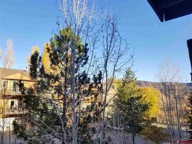 457 Animas View Dr unit 16, Durango, CO 81301 - photo 7