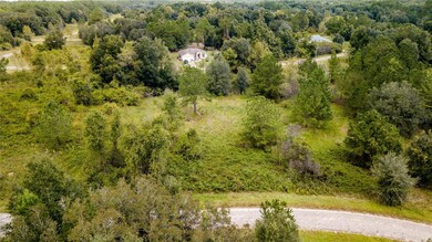 607 E Jewel Ln, Citrus Springs, FL 34434 - photo 6