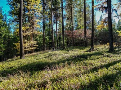 11620 US Highway 2 W, Marion, MT 59925 - photo 7