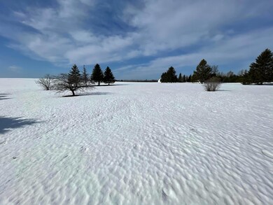 Yard 3.7 Acres