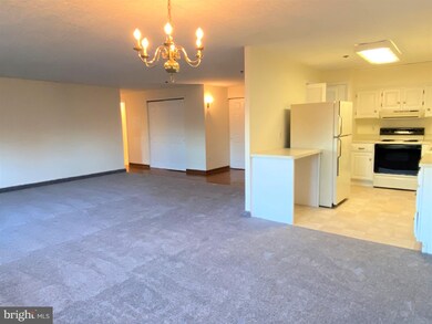 900 N Broom St unit 14, Wilmington, DE 19806 - photo 5