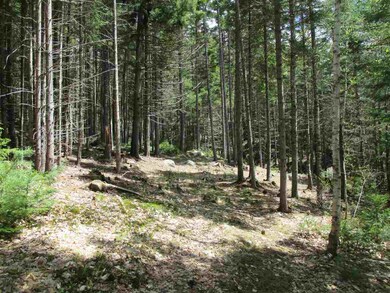 4 Golden Heights Rd unit 29.1, Waterville Valley, NH 03215 - photo 6