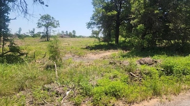 View of nature