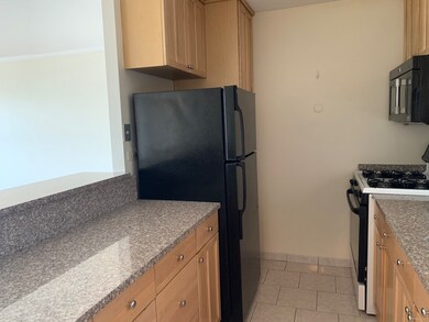 9 Hawthorne Place unit 12A, Boston, MA 02114 - photo 4