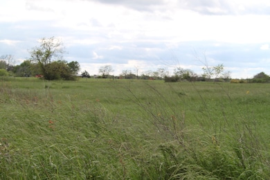 0 Hauck Rd unit 20539116, Hempstead, TX 77445 - photo 2