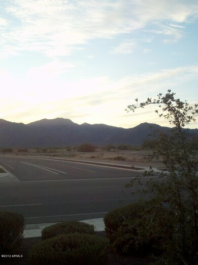 Backyard 2