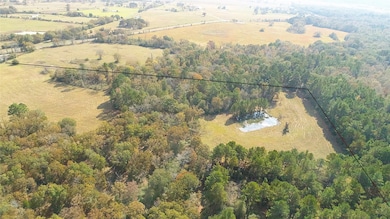 15031 Farm To Market Road 542, Oakwood, TX 75855 - photo 3