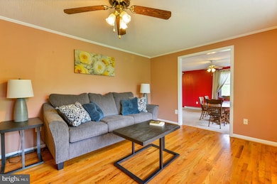 3671A Petersville Rd, Knoxville, MD 21758 - photo 7