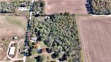 20830 Missouri 142, Neelyville, MO 63954 - photo 4