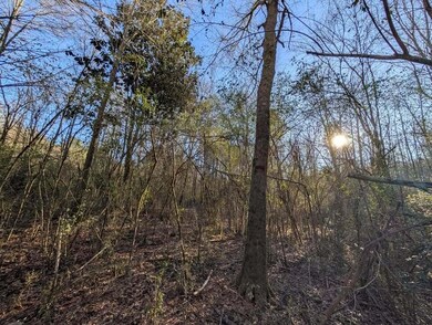 0 Ridgeway Rd unit 1524463, Trion, GA 30753 - photo 4