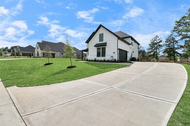 547 Black Bronco Rd, Magnolia, TX 77354 - photo 3