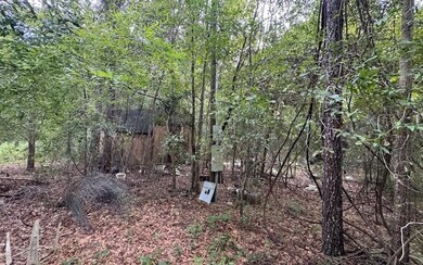 27210 41st Rd, Branford, FL 32008 - photo 5