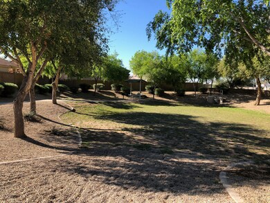 COMMUNITY PARK ACROSS THE HOUSE