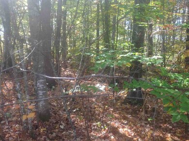 64 Pine River Path, Effingham, NH 03882 - photo 5