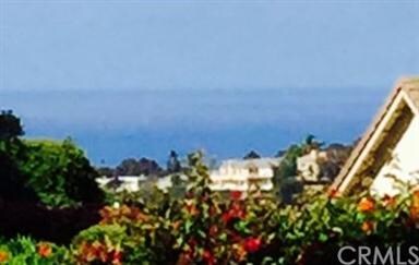 Ocean View from the back of the home.