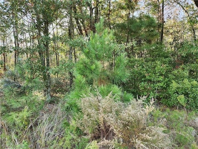 0 Dauphin Island Pkwy unit 7684967, Coden, AL 36523 - photo 2