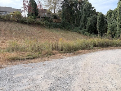 119, 123, 127 Randolph Ave, Black Mountain, NC 28711 - photo 7