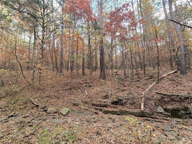 000 Cedar Branch Rd, Hattieville, AR 72063 - photo 5