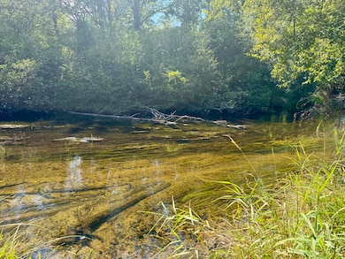 6685 Cedar Trace, Canadian Lakes, MI 49346 - photo 2