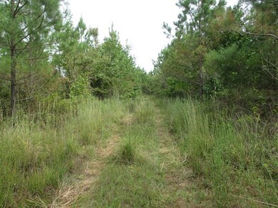 TBD County Road 103, Lafayette Springs, MS 38655 - photo 2