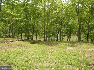 15 River Bend Dr, Bloomery, WV 26817 - photo 4