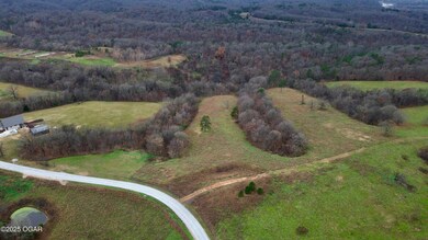 TBD Mountain Ridge Dr, Pineville South Township, MO 64854 - photo 3