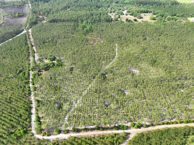 0 Ralph Davis Rd, Folkston, GA 31537 - photo 5